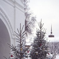 Нарядные елочки накануне Рождества, в Толгском монастыре :: Николай Белавин