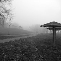 Наедине с туманом. :: Борис Бутцев