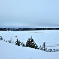 Намораживают ледовые переправы на Северной Двине. :: ЛЮДМИЛА 