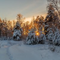 Декабрь, солнце и мороз 11 :: Андрей Дворников