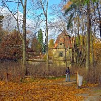 Осень в парке :: Вера Щукина