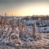 "У тропы в морозный день"© :: Владимир Макаров