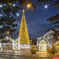Новогодняя ёлка 2022 в Белгороде :: Игорь Сарапулов