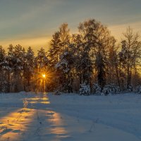 Декабрь, солнце и мороз 12 :: Андрей Дворников