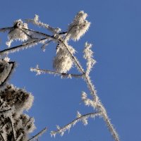 Мороз и солнце :: Heinz Thorns