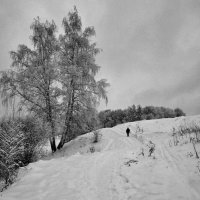 дорога в зимний лес :: Валентина. .