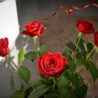 Розы :: Наталия Лыкова