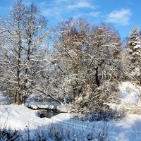 зима :: Владимир Холодницкий