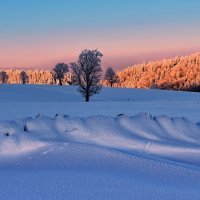 Berge Jura :: Elena Wymann