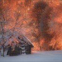 Зимний сад .. :: Влад Соколовский