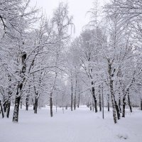 Тихо, пустынно и холодно московским утром :: SergAL 