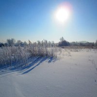 Зимний пейзаж ! :: Татьяна Тумина