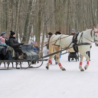 КАТАНИЕ НА ЛОШАДЯХ В ПАРКЕ :: Валентина 