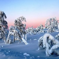 Рассвет в снежной Лапландии. Финляндия :: ГЕНРИХ 