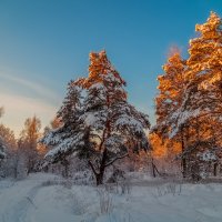 Декабрь, солнце и мороз 14 :: Андрей Дворников