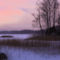 Зима возвращается :: liudmila drake