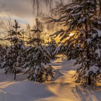 Морозное декабрьское утро. :: Андрей Дворников