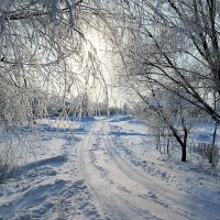 зима :: Владимир Холодницкий