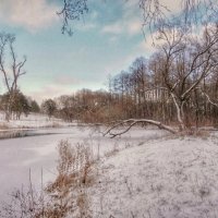 Зимние пейзажи :: Alena Pasazhytskaya