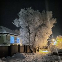 После снегопада в моей вотчине Ромашково... :: Юрий Яньков