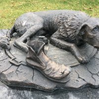 Памятник бездомным животным :: Татьяна 