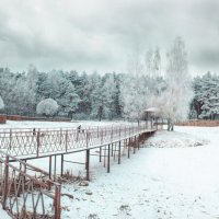 Городской прудик :: Игорь Суглоб