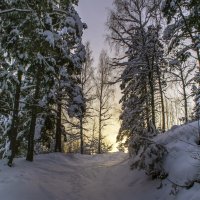 Вечерняя дорога :: Сергей Цветков