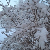 Зимой снежной :: Елена Семигина