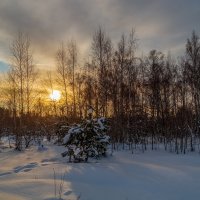 Декабрь, солнце и мороз 07 :: Андрей Дворников