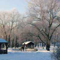 В зимнем парке на речке Городне. :: Борис Бутцев