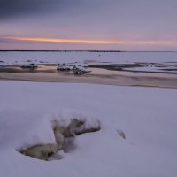 На берегу Финского залива :: Георгий А