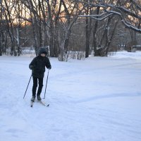 Вечерний лыжник... :: Андрей Хлопонин