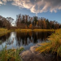 Жёлтая осень на Чёрной речке :: Сергей 