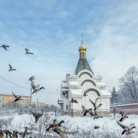 Про Питер :: Владимир Колесников