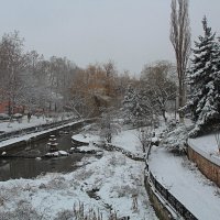 Зима  2019 г :: Валентин Семчишин