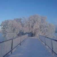 Мост через прокол (проран). :: Виктор Мухин