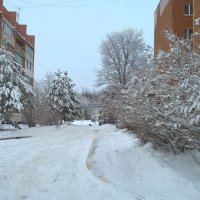 село Заворово зимой :: Елена Семигина
