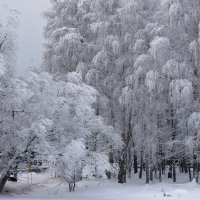 Поселок Мосрентген. Зимушка-зима... :: Наташа *****