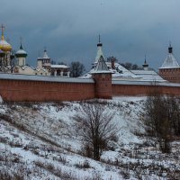 Спасо - Евфимиев монастырь :: Владимир Гришин