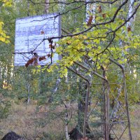 На  баскетбольных площадках  Борового. :: Андрей Хлопонин