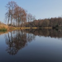 Осенняя прогулка по Середниково :: Евгений Седов