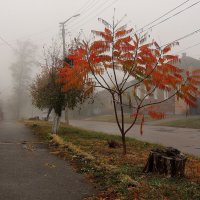 Осенние зарисовки :: Роман Савоцкий