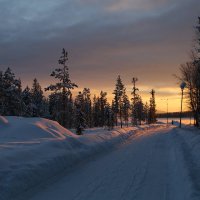 Снежная дорога :: Ольга 