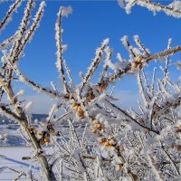 Морозный день :: Геннадий Худолеев Худолеев