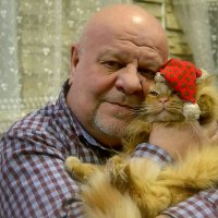Новогодний кот Левка. :: Михаил Столяров