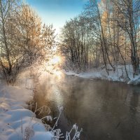 Зимнее солнце :: Vladimbormotov 