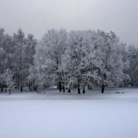 Московская область. После снегопада... :: Наташа *****