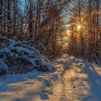 Морозное утро второго января # 04 :: Андрей Дворников