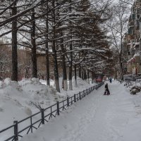Снег, кругом снег. :: Виктор Иванович Чернюк