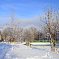 Зимний парк :: Нина Синица